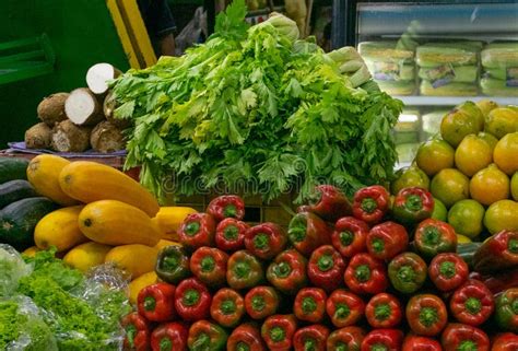  Vibrant Vegetables -  A Colombian Masterpiece Unveiling Nature’s Delicious Symphony!